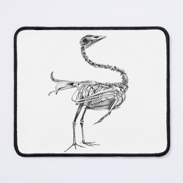 Item preview, Bird Skeleton designed and sold by Jessica Bosse.