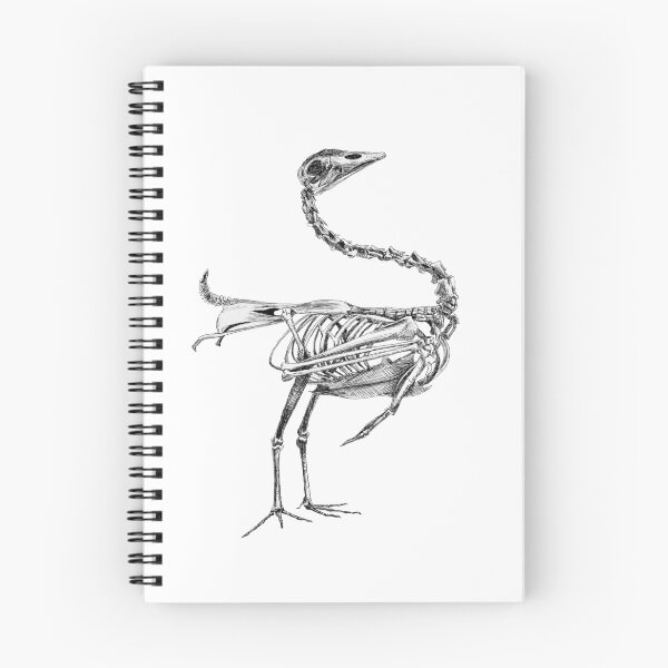 Item preview, Bird Skeleton designed and sold by Jessica Bosse.