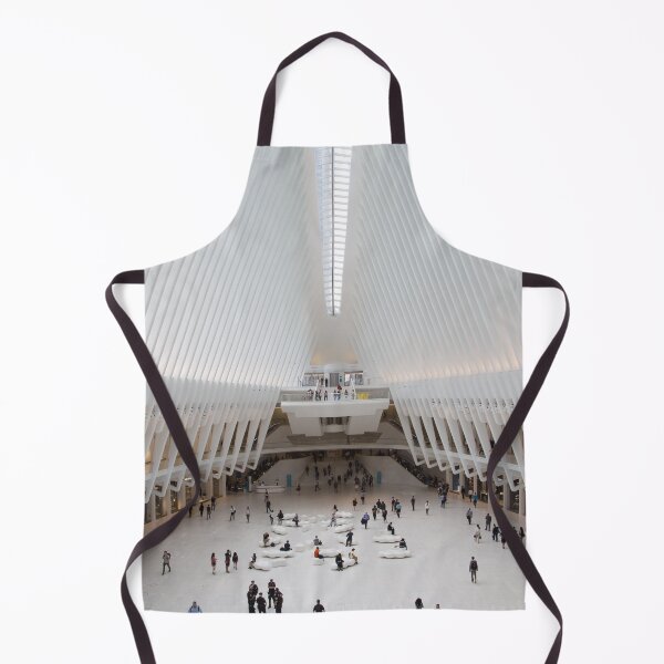 Item preview, Oculus Atrium Bathed in Light designed and sold by bubandbob.