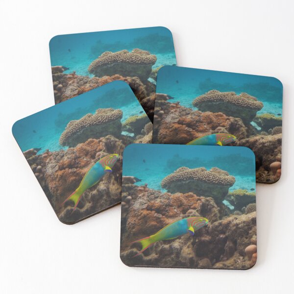 Item preview, An Ocean Jewel - Wrasse on a Coral Reef designed and sold by Real Mindset Studio.