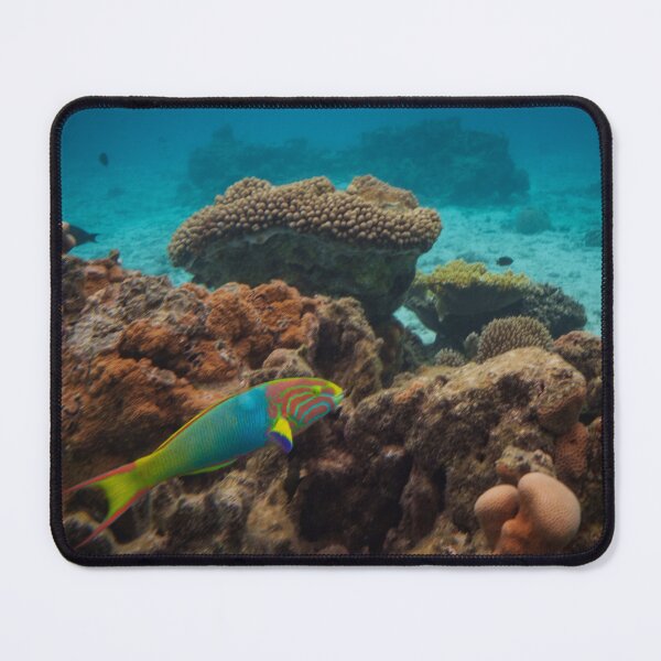 Item preview, An Ocean Jewel - Wrasse on a Coral Reef designed and sold by Real Mindset Studio.