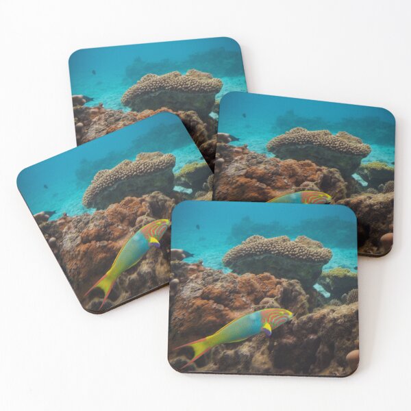 Item preview, Electric Reef Portrait - The Colorful Wrasse designed and sold by Real Mindset Studio.