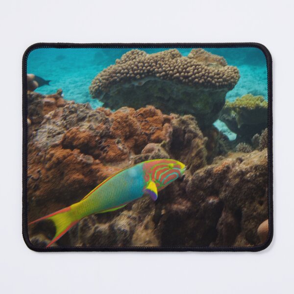 Item preview, Electric Reef Portrait - The Colorful Wrasse designed and sold by Real Mindset Studio.