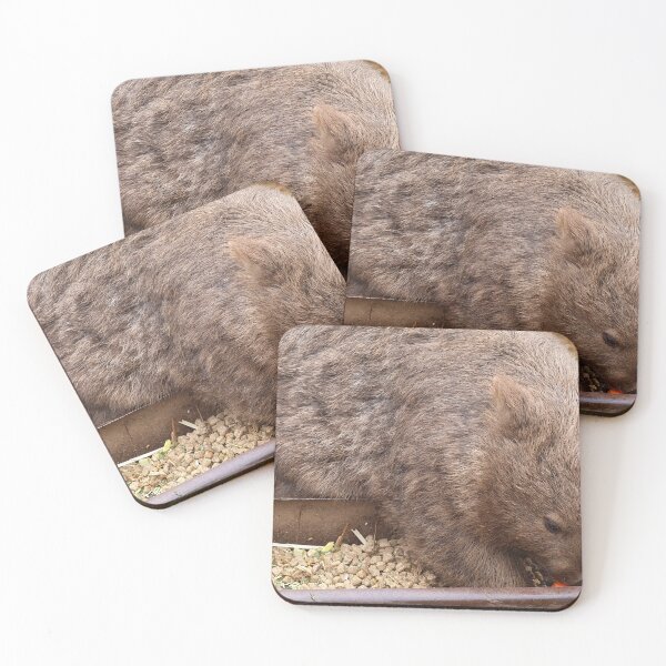 Item preview, wombat mealtime designed and sold by Gaylene Norton.