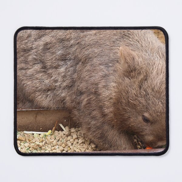 Item preview, wombat mealtime designed and sold by Gaylene Norton.
