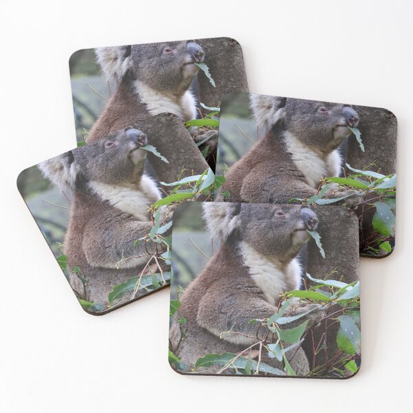 Item preview, koala  designed and sold by Gaylene Norton.