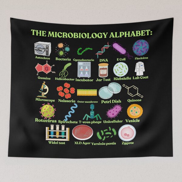 Item preview, The Microbiology Alphabet, cool science, biology and microbiology designed and sold by NoetherSym.