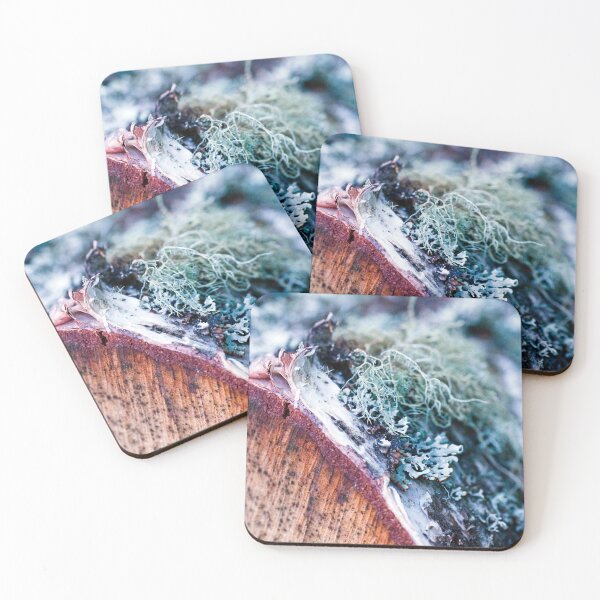 Item preview, Lichen on a birch tree stump designed and sold by JeanKellyPhoto.