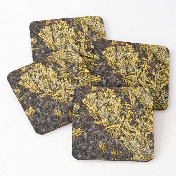 Item preview, Seaweed Coastal Beach Nature Texture designed and sold by Wall Love.