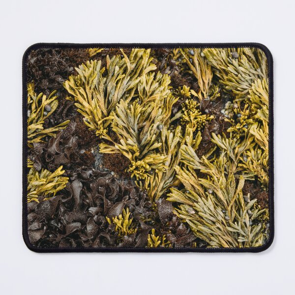 Item preview, Seaweed Coastal Beach Nature Texture designed and sold by Wall Love.
