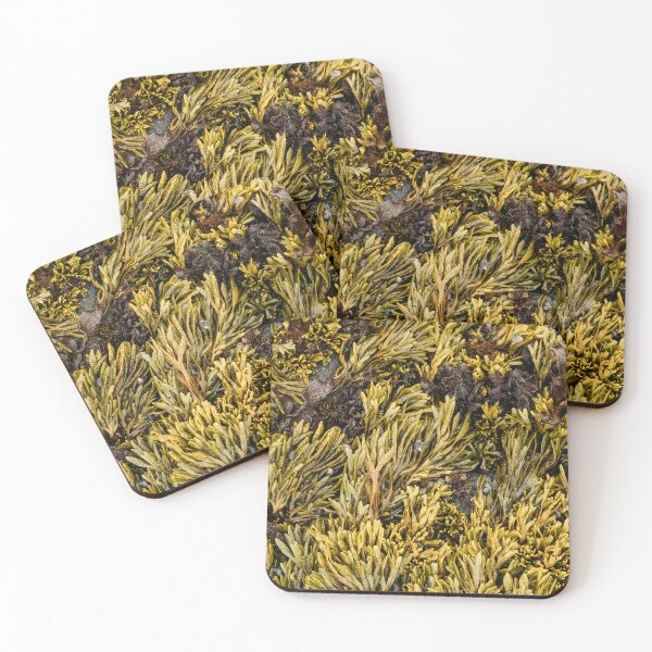 Item preview, Seaweed Nature Texture designed and sold by Wall Love.