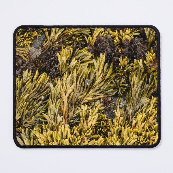 Item preview, Seaweed Nature Texture designed and sold by Wall Love.