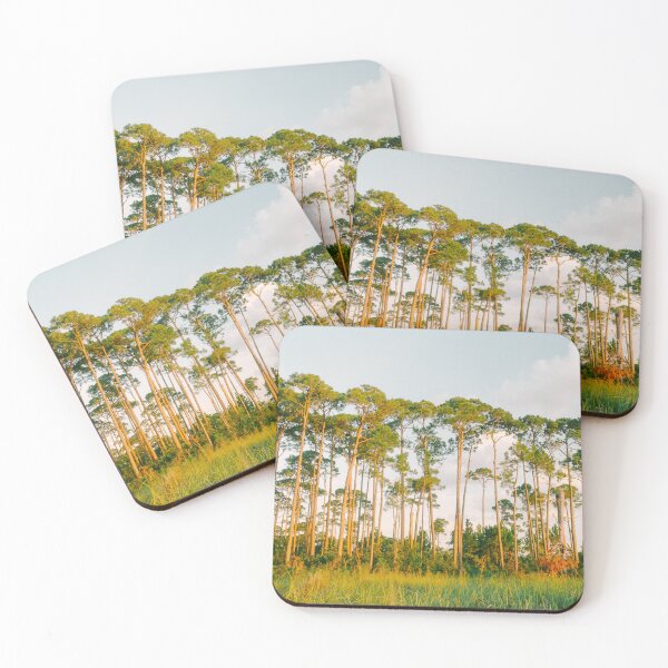 Item preview, Pine Tree Forest Gulf Coast Florida Landscape designed and sold by Wall Love.