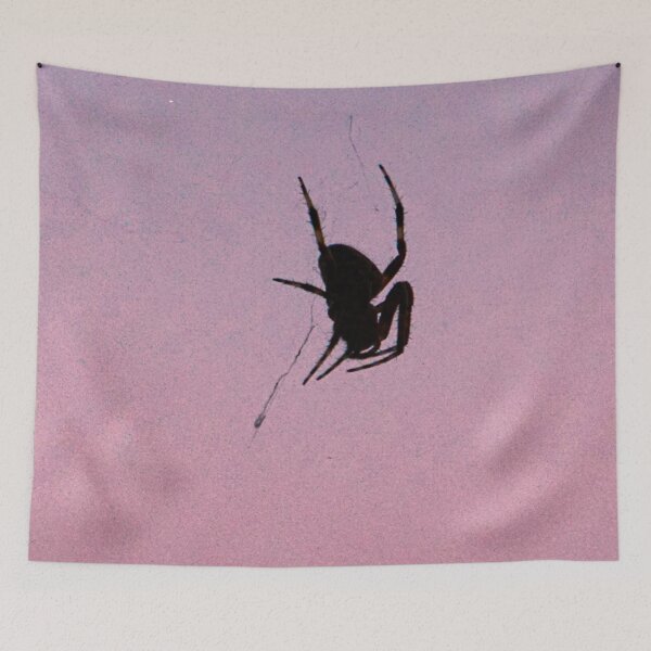 Item preview, Spider on the web designed and sold by RollingRC.