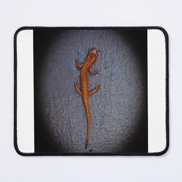 Item preview, Cave Salamander designed and sold by RiverRatSkippy.