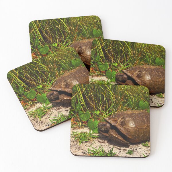 Item preview, Gopher tortoise designed and sold by RiverRatSkippy.