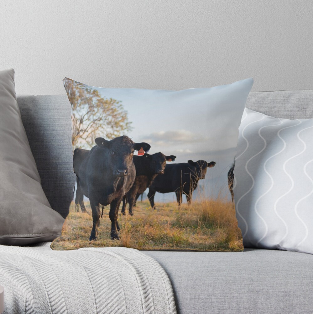 "Australian Country Cows" Throw Pillow for Sale by Damonbinstead