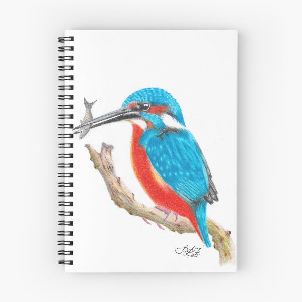 Item preview, Colour drawing Kingfisher designed and sold by Richard Fettes.