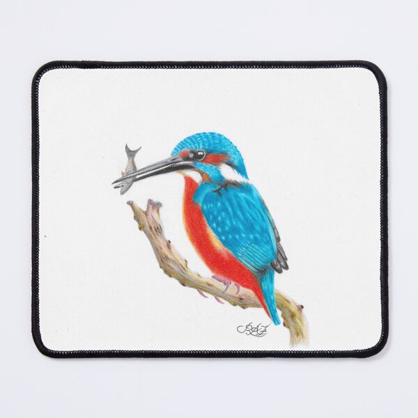 Item preview, Colour drawing Kingfisher designed and sold by Richard Fettes.