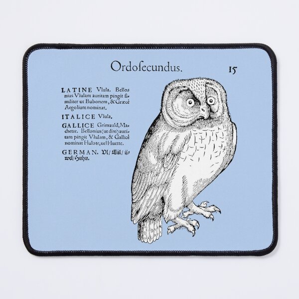 Item preview, Sixteenth Century Northern Hawk Owl by Conrad Gesner designed and sold by Pixelchicken.