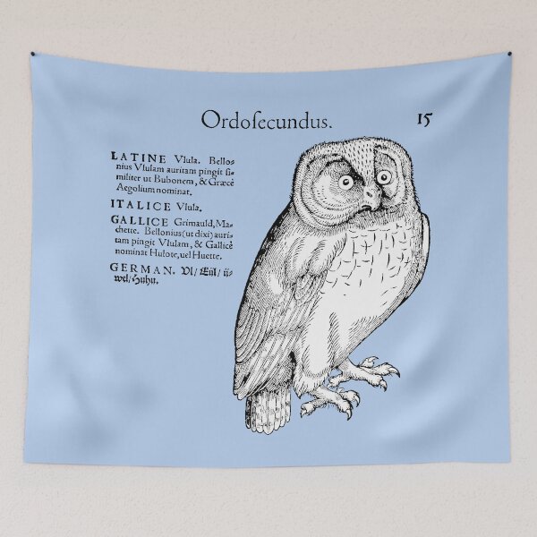 Item preview, Sixteenth Century Northern Hawk Owl by Conrad Gesner designed and sold by Pixelchicken.