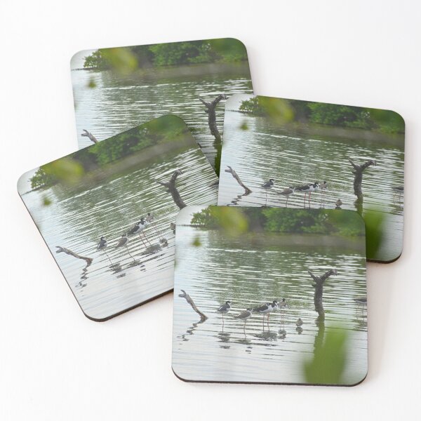 Item preview, Black Necked Stilts 2 designed and sold by LisaWootenPhoto.