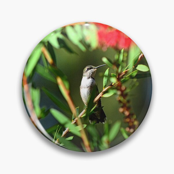 Item preview, Hummingbird Among The Bottlebrush designed and sold by LisaWootenPhoto.