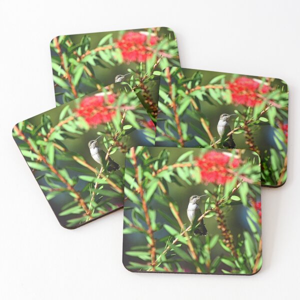 Item preview, Hummingbird Among The Bottlebrush designed and sold by LisaWootenPhoto.