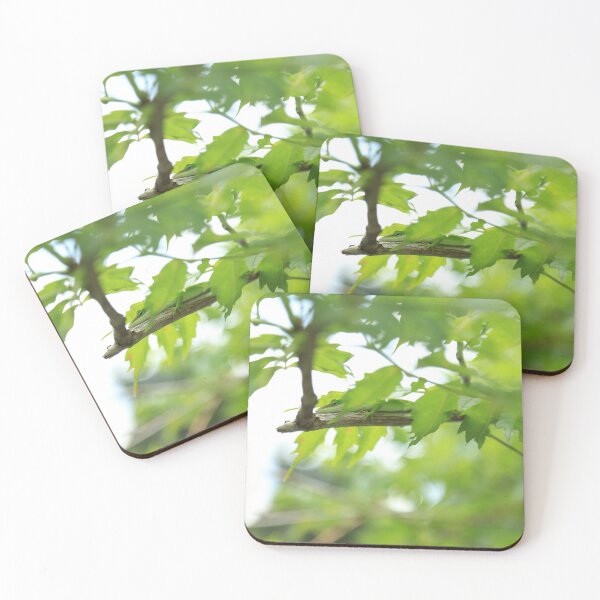 Item preview, Green Anole Lizard designed and sold by StampCity.