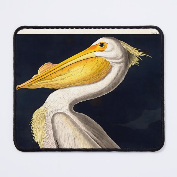 Item preview, John James Audubon - American White Pelican designed and sold by Jon-Baran.