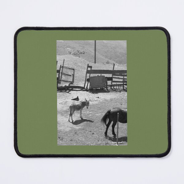 Item preview, 2013 Il cavallo e l'asinello designed and sold by robertoferrero.