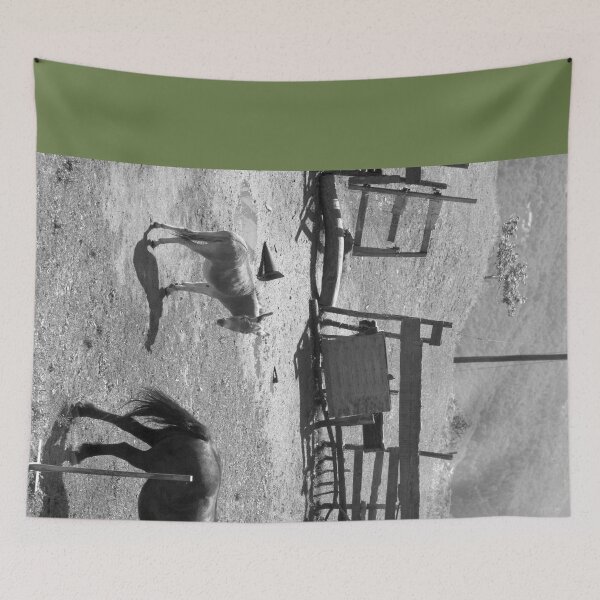 Item preview, 2013 Il cavallo e l'asinello designed and sold by robertoferrero.