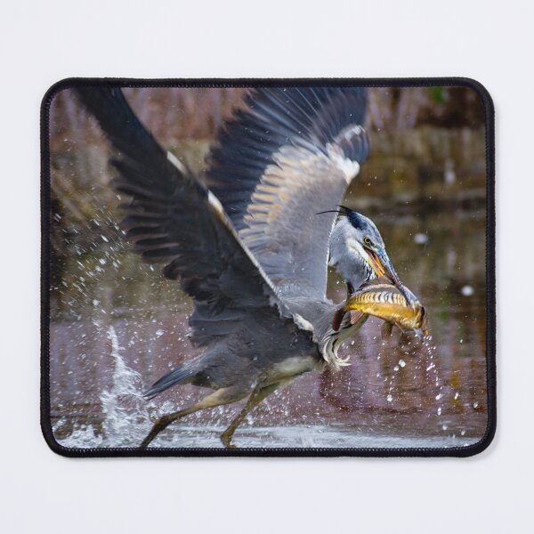 Item preview, Grey Heron fishing designed and sold by Still Wild.