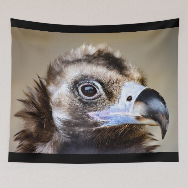 Item preview, Cinereous Vulture – Wild Beauty in Profile designed and sold by Still Wild.