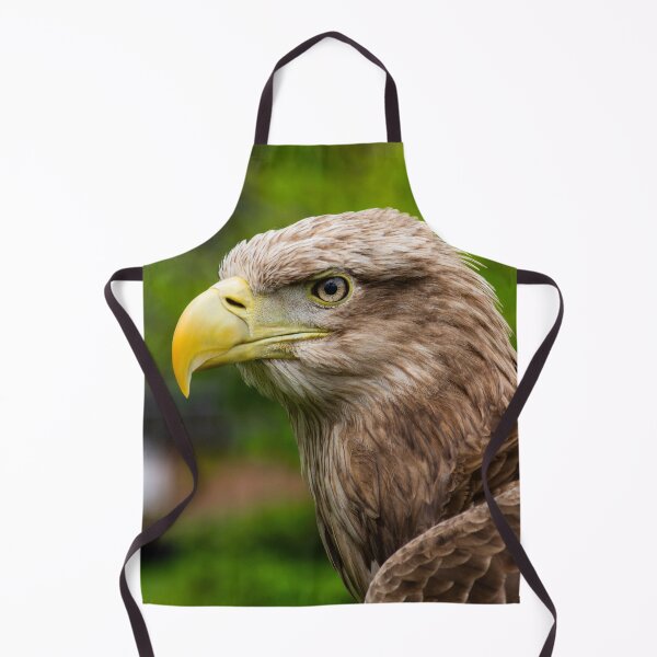 Item preview, White-tailed Eagle – Fierce Eyes and Windblown Grace designed and sold by Still Wild.