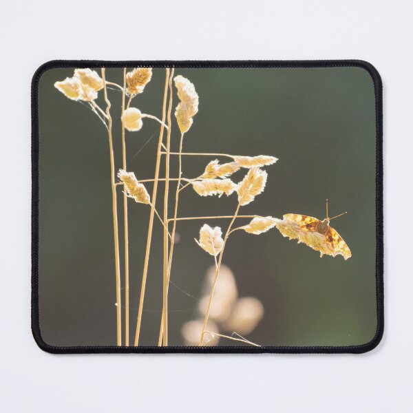 Item preview, Golden Hour Grace – European Comma Butterfly on Grass designed and sold by Still Wild.