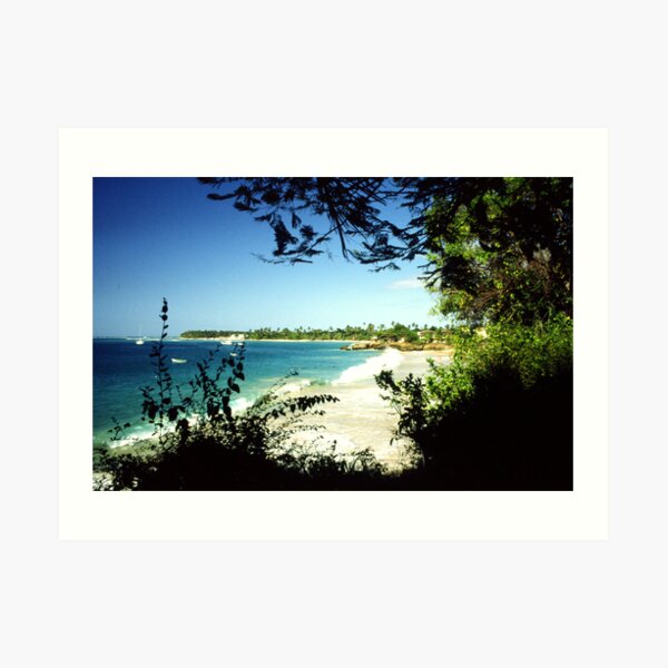 Tobago Art Print