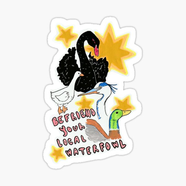 Item preview, Befriend Your Local Waterfowl designed and sold by narfishus.