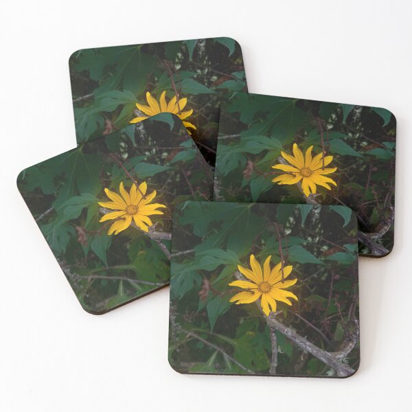 Item preview, Blooming - Flower Photography designed and sold by MagnetitaBySil.