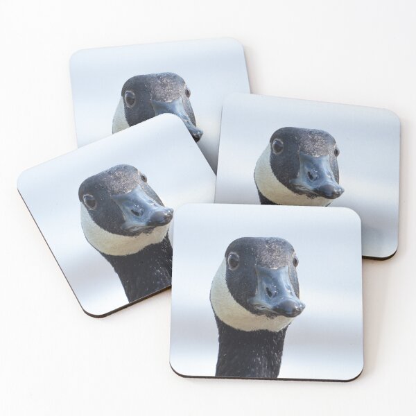 Item preview, Canada Goose Close-Up – Wild and Watchful designed and sold by Still Wild.