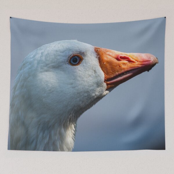 Item preview, Blue-Eyed Goose – Farmyard Royalty designed and sold by Still Wild.