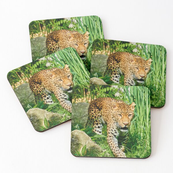 Artikelvorschau, Leopard I entworfen und verkauft von Eidetic Photos.