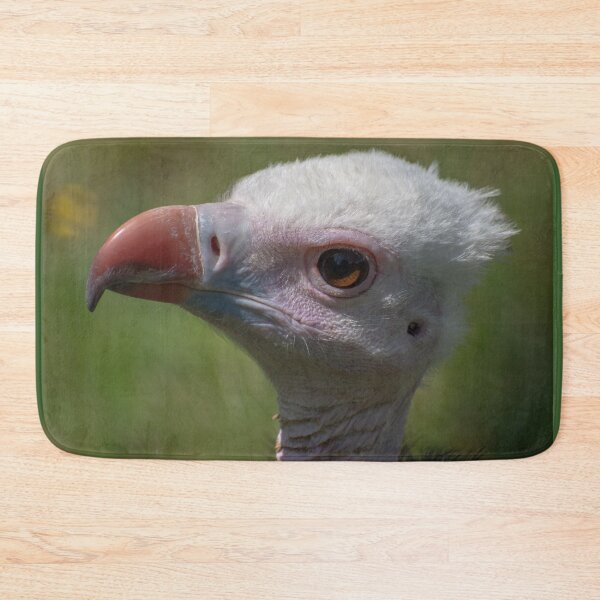 Item preview, Juvenile White-headed Vulture in Profile designed and sold by Still Wild.