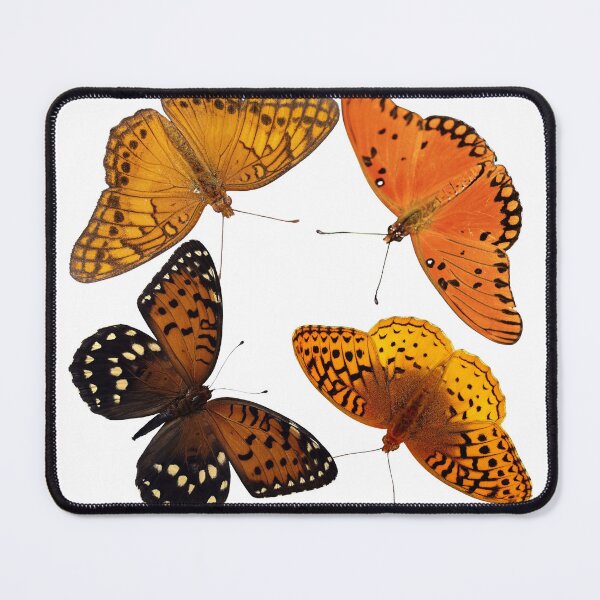 Item preview, Fritillary Butterfly Collection designed and sold by NeuroDivergent9.