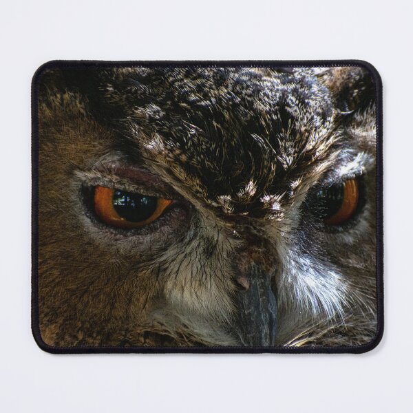 Item preview, Silent Stare – Long-eared Owl Close-Up designed and sold by Still Wild.