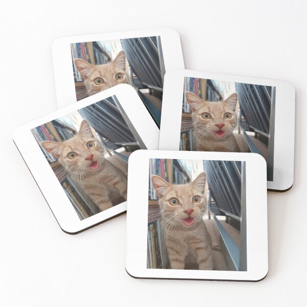 Item preview, Surprised ginger cat! designed and sold by BornToBeWyld.