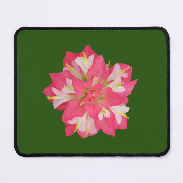 Item preview, Indian Paintbrush Flower designed and sold by boldtvillemayor.