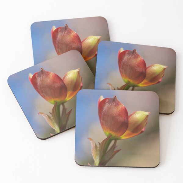 Item preview, Budding designed and sold by D-GaP.