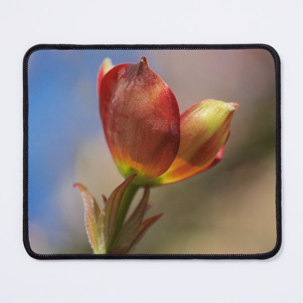 Item preview, Budding designed and sold by D-GaP.