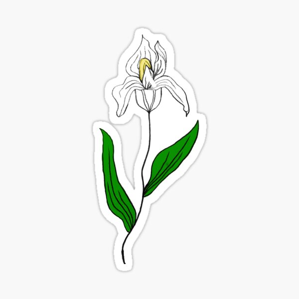 Item preview, Iris flower - graphic designed and sold by StickieFlowers.